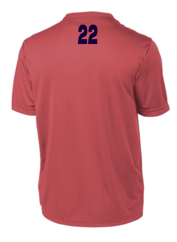 PJP Baseball Mandatory Item Red Player Practice (Dry Fit) Short Sleeve T-Shirt