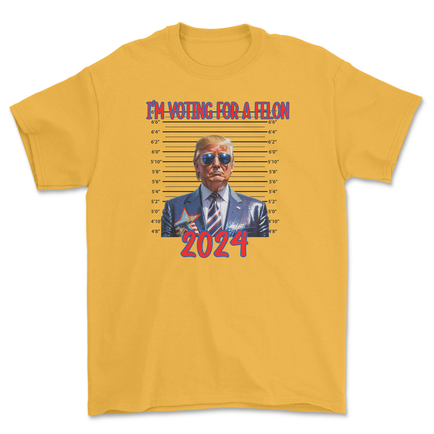 Im Voting for a Felon (Trump 2024)