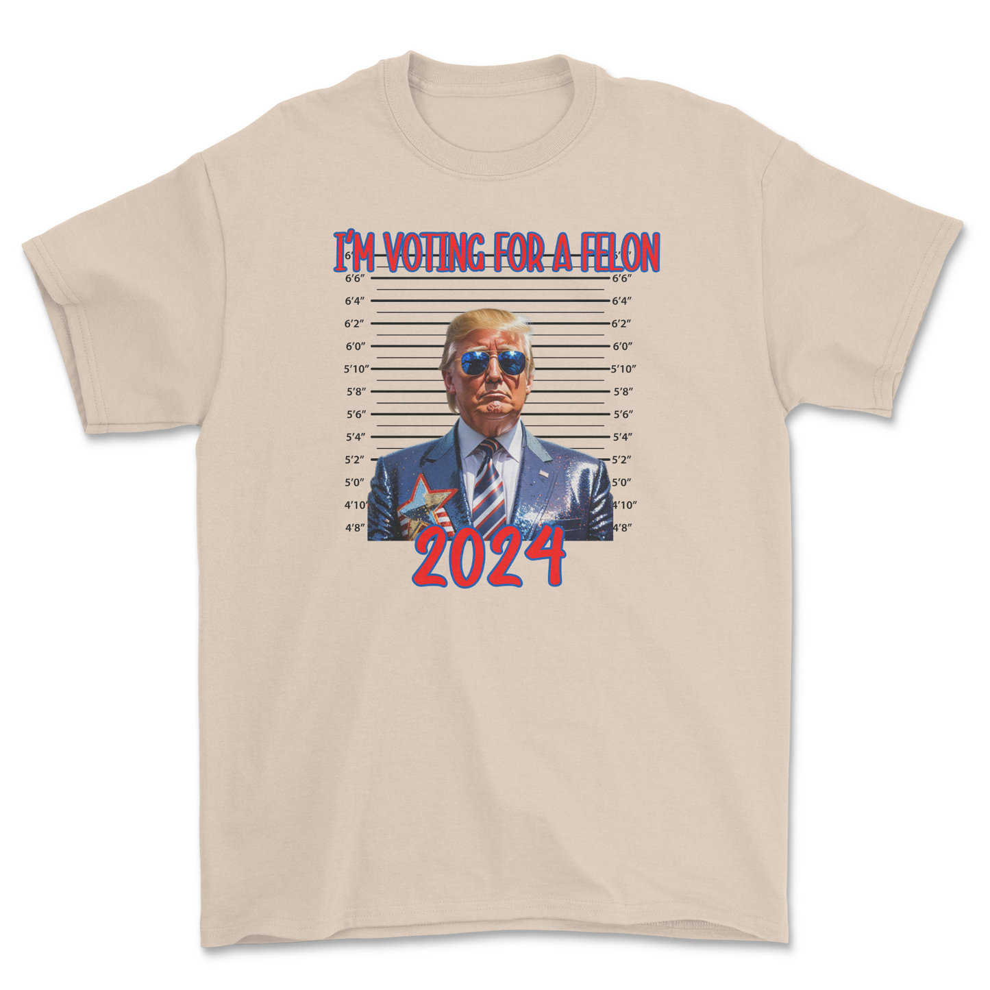 Im Voting for a Felon (Trump 2024)