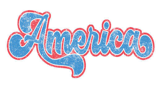 America Unisex T-Shirt