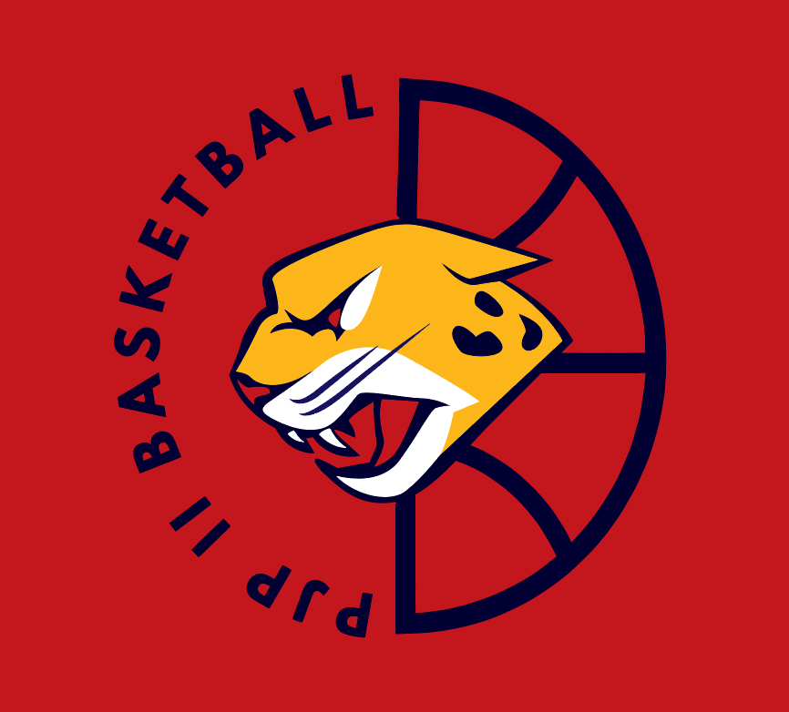 PJP Basketball Red Ball Logo